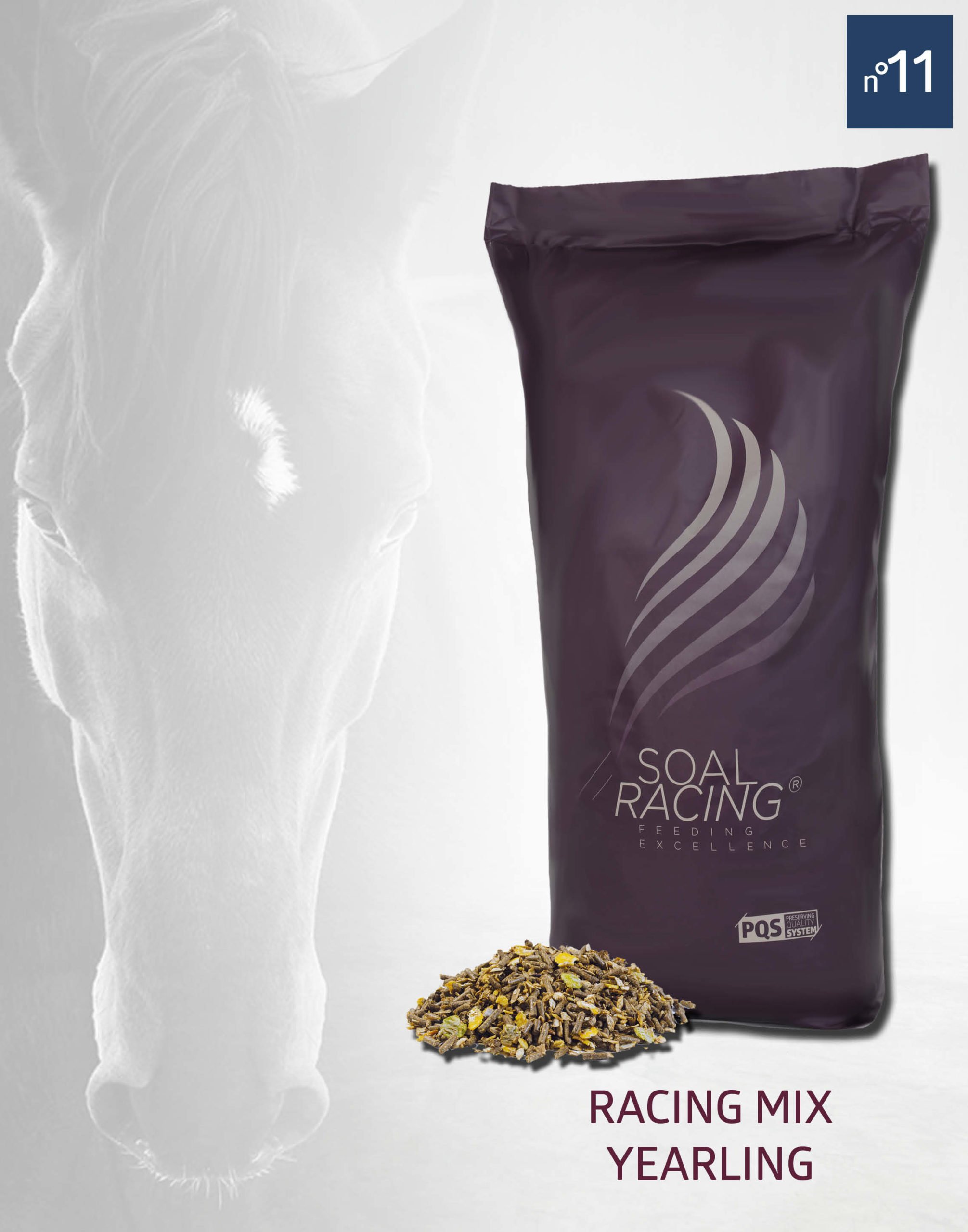 Alimentation pour cheval racing mix yearling