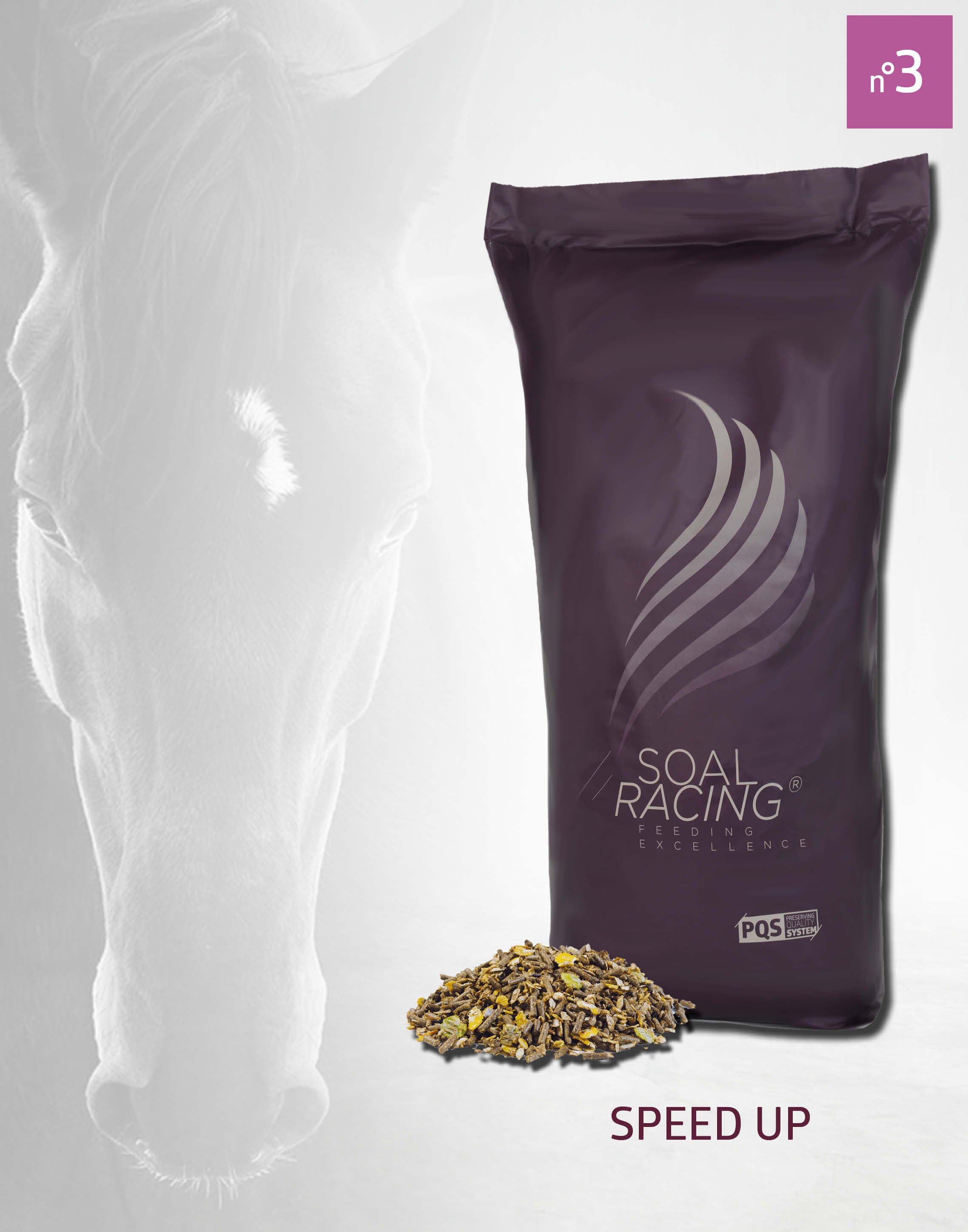 Alimentation pour cheval speed up